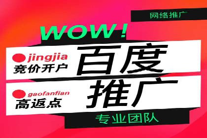 SEM公司案例分享：优化效果与转化率提升策略